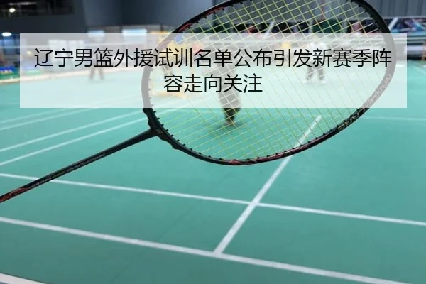 辽宁男篮外援试训名单公布引发新赛季阵容走向关注