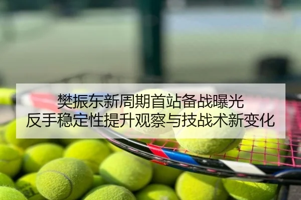 樊振东新周期首站备战曝光 反手稳定性提升观察与技战术新变化
